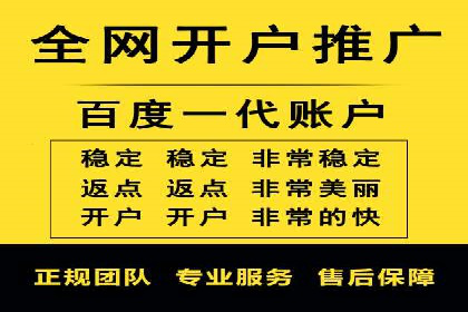 百度竞价公司案例分析：提升转化率的策略